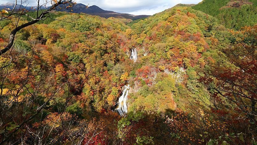 🏞️ 안개 내리는 폭포(키리후리노타키) 이미지 1
